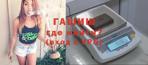 индика Протвино