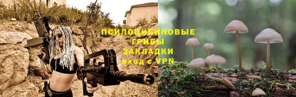 ешки Абинск