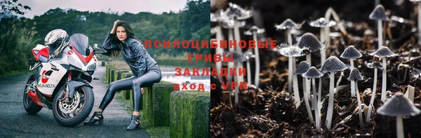 MDMA Приозерск