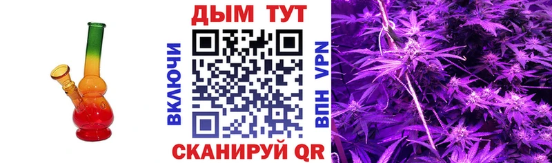 Каннабис сатива  Кяхта 